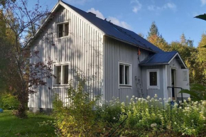 Villa Mäntysaari luonnonrauhaa kaupungin lähellä.